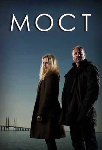 Постер: Мост