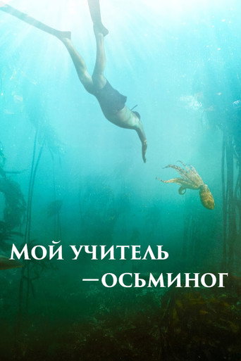 Постер: Мой учитель — осьминог