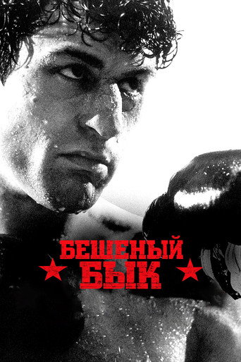 Постер: Бешеный бык
