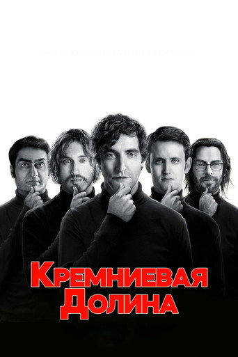 Постер: Кремниевая долина